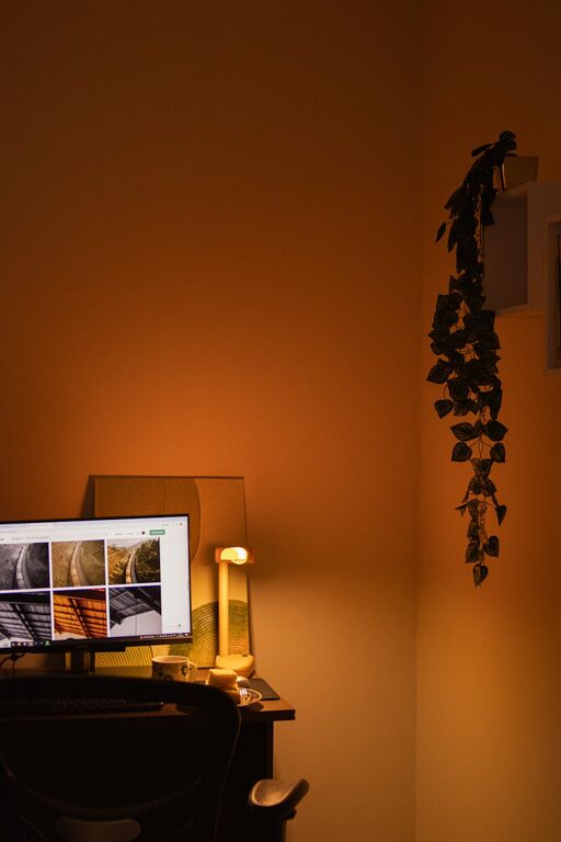 Tips for Creating a Cozy and Productive Home Office Space